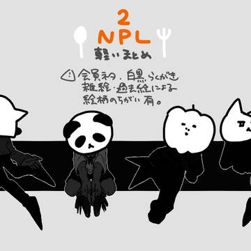 NPLogⅱ