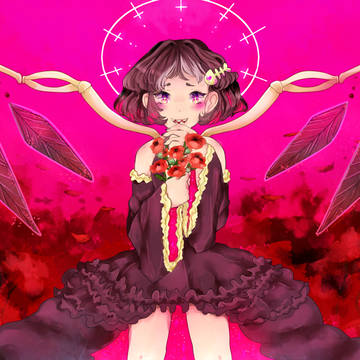 Papaver rhoeas (ケシ)