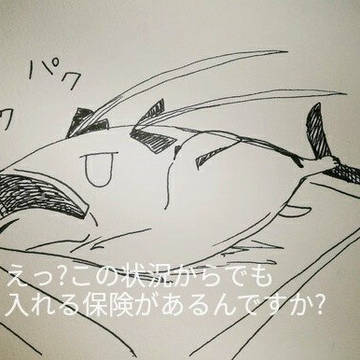 絶対絶命ニャ