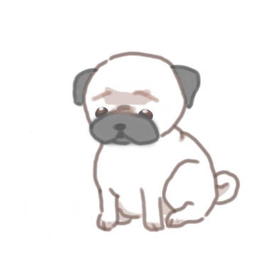 pug