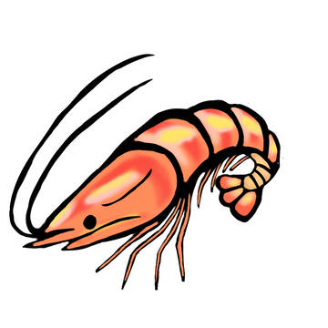 エビちゃん