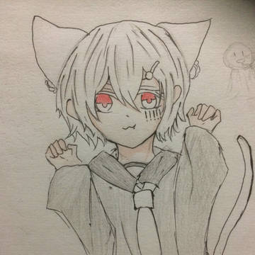 猫まふ君