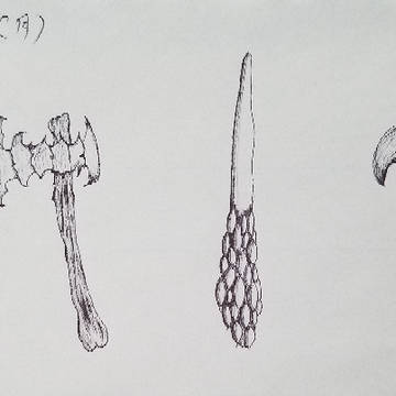 武器