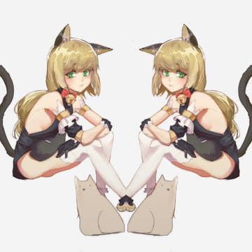猫