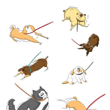 拒否犬