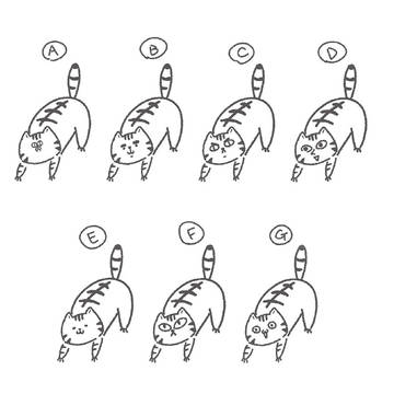 どっち？