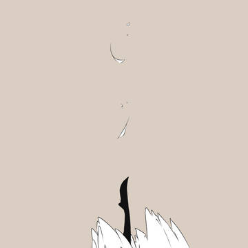 ラフィット詰め
