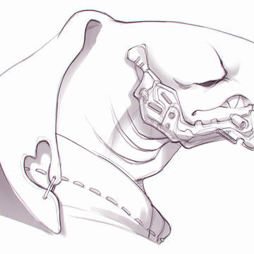 Shark