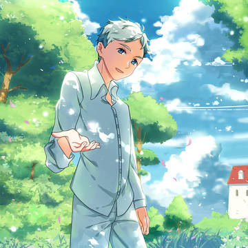 日光の森