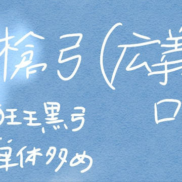 槍弓広義ログ