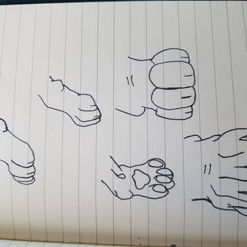 Feline Paws