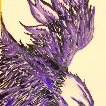 年賀状用