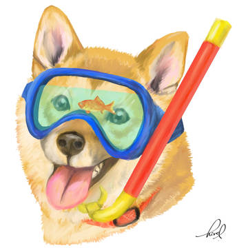 柴犬のスキューバ