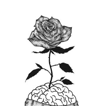 Bloom