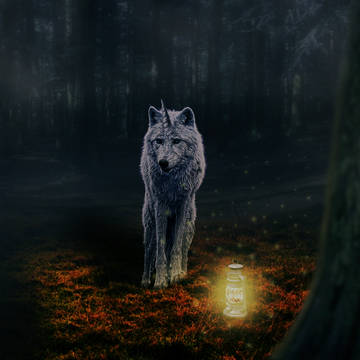 Uniwolf's Forest