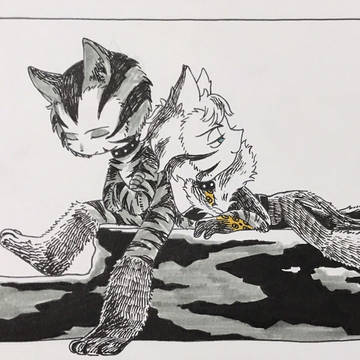 DVD猫