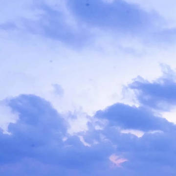 风景
