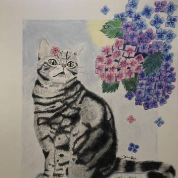 花見
