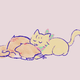 feline miami