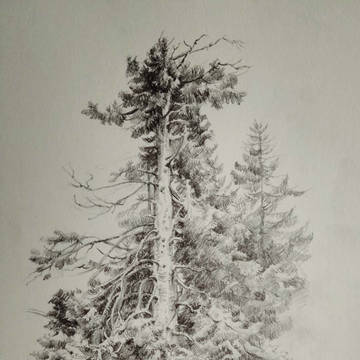 Ivan I. Shishkin