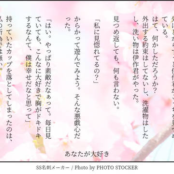 鏡花水月シリーズ、その後