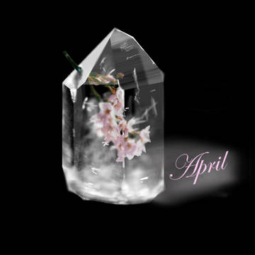 水晶と桜