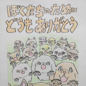 犬