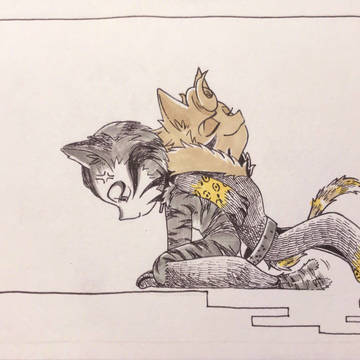 DVD猫2