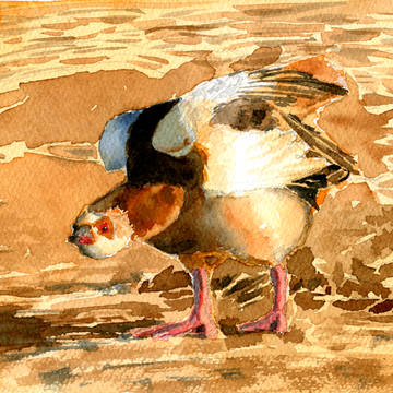 鳥らくがき(2)