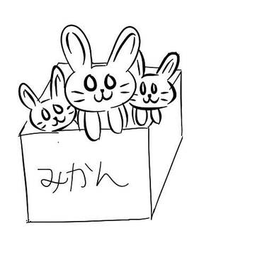 rabbit in a box