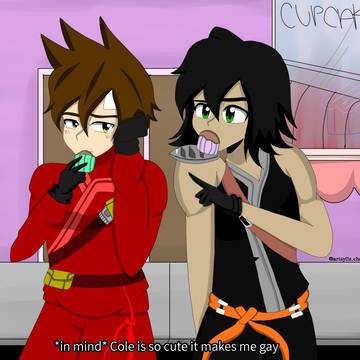 Ninjago Cole x Kai