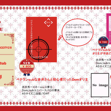 5/4スパコミ お品書き「赤井秀一夢本」