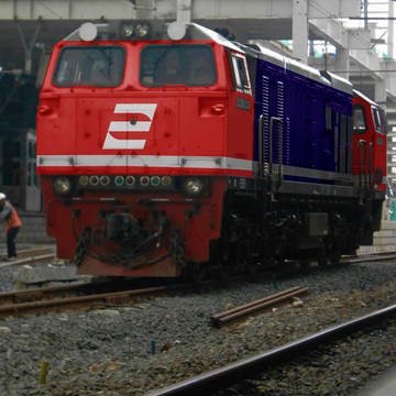 CC 206 PerumKA livery