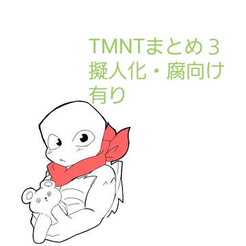 亀まとめ３