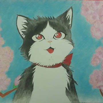 Haru 🐈💙