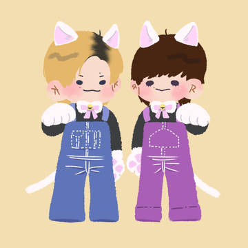 猫とっきゅー