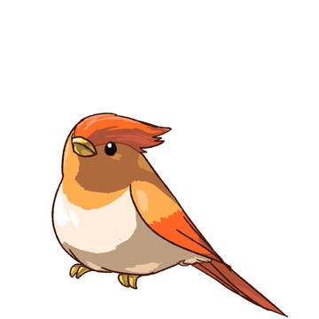 ことりめがみ