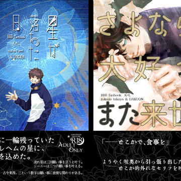 星が落ちた日／さよなら大好きまた来世