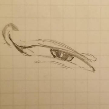 目