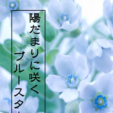 R1/5/19　遙か見ゆる愛に祝杯をⅡ　新刊サンプル②