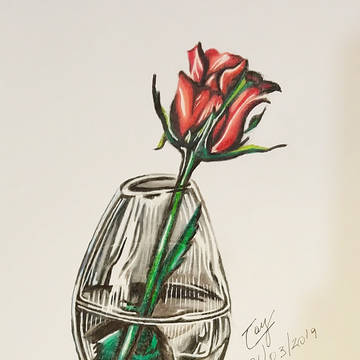 A Rose