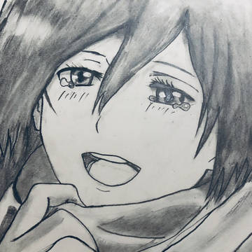 久しぶり描いたミカサ