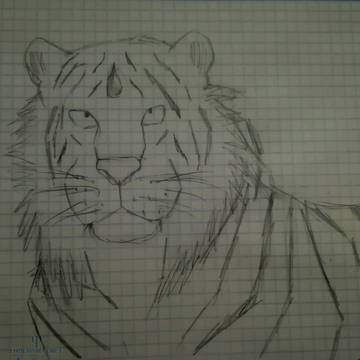 White Tiger