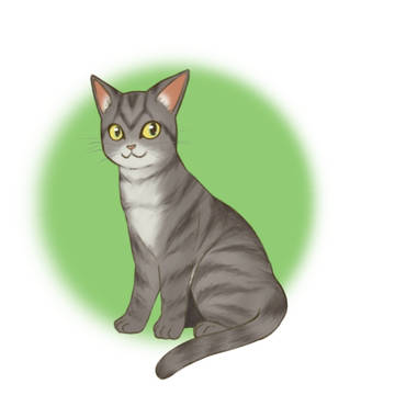 ネコチャン