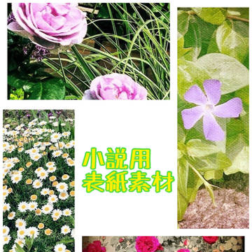 【フリー素材】小説用表紙（庭園の花)
