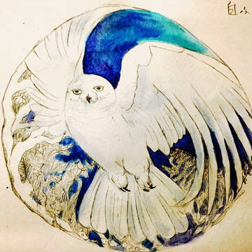 シロフクロウ
