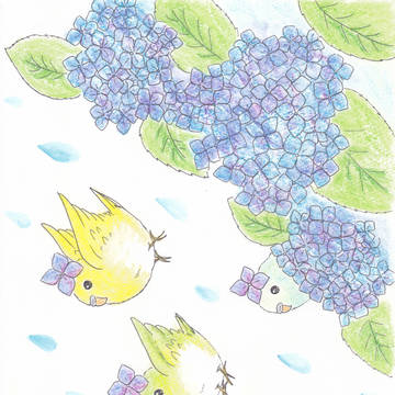 あじさいインコ