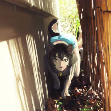 君の通り道
