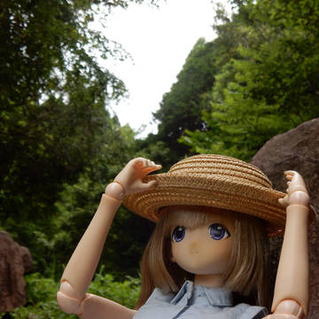 ありふれた思い出の写真