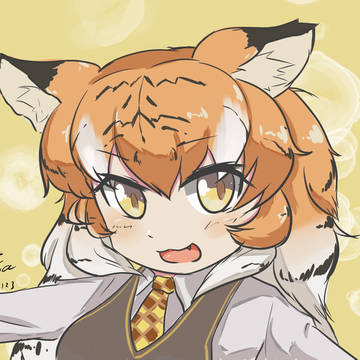 (ﾟ∀。)